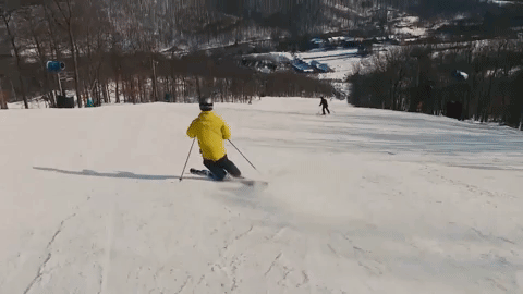 A gif of me skiing in winter 2021.